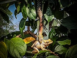 20190208_094813_900__900_